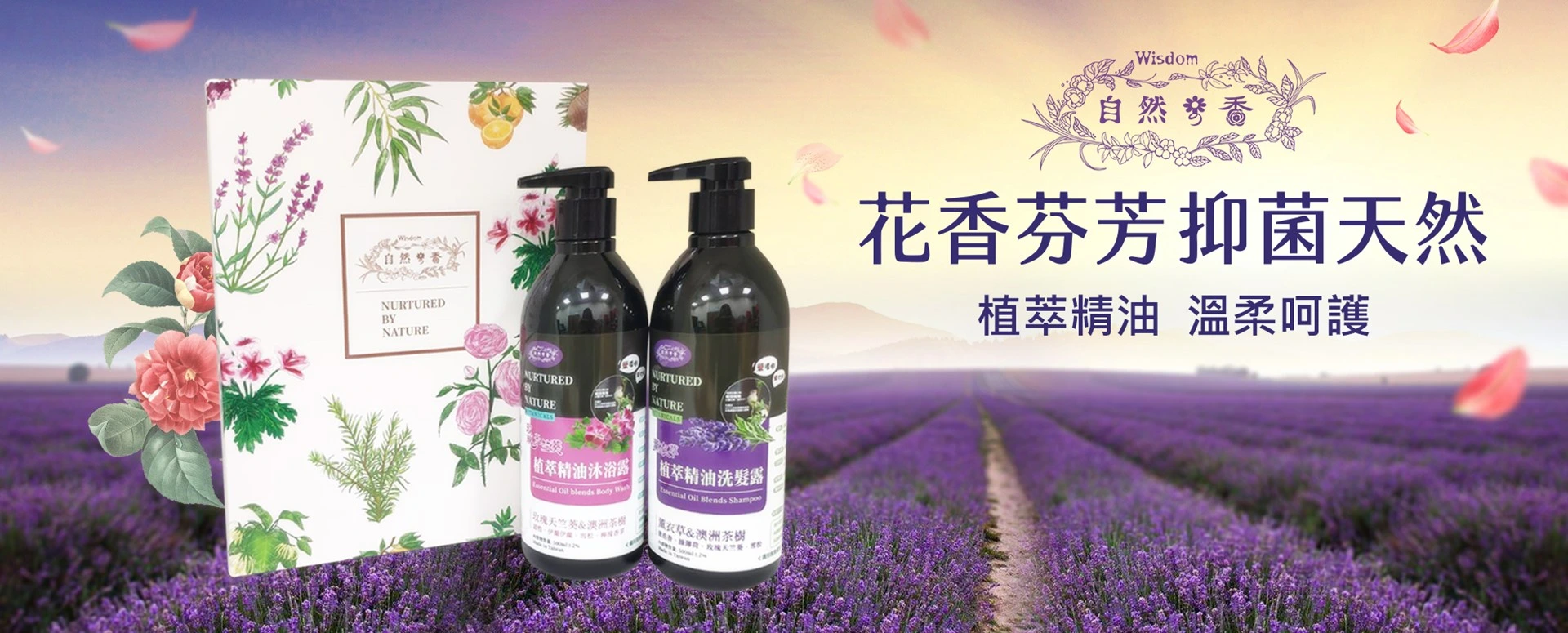 植萃精油洗髮露